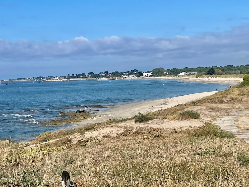 17 filles : jogging in the dunes