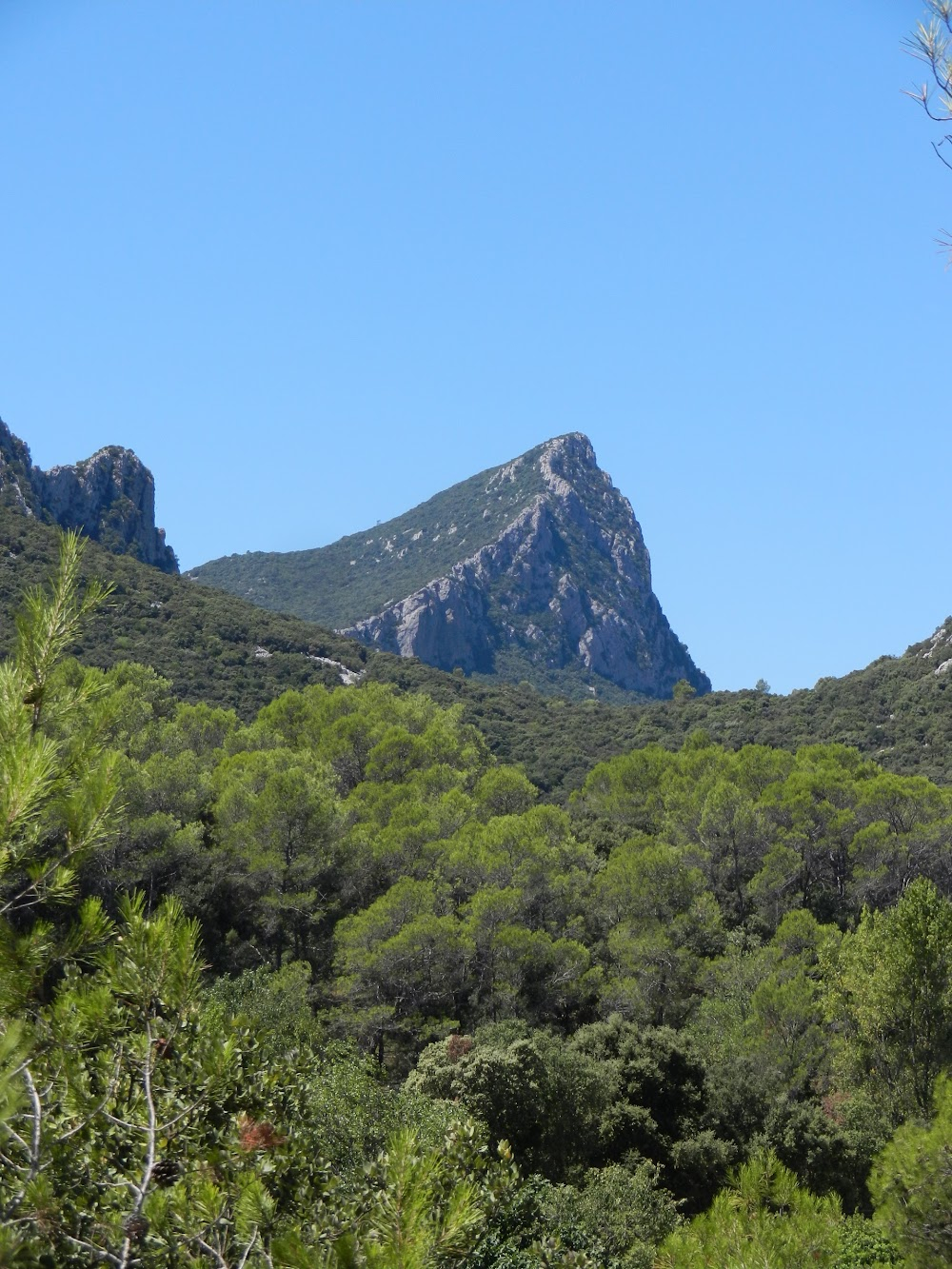 36 vues du Pic Saint Loup : 