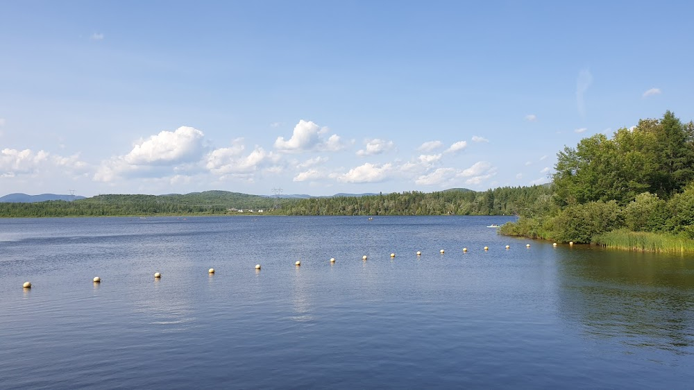 A Cloudy Sky at the Lake : 