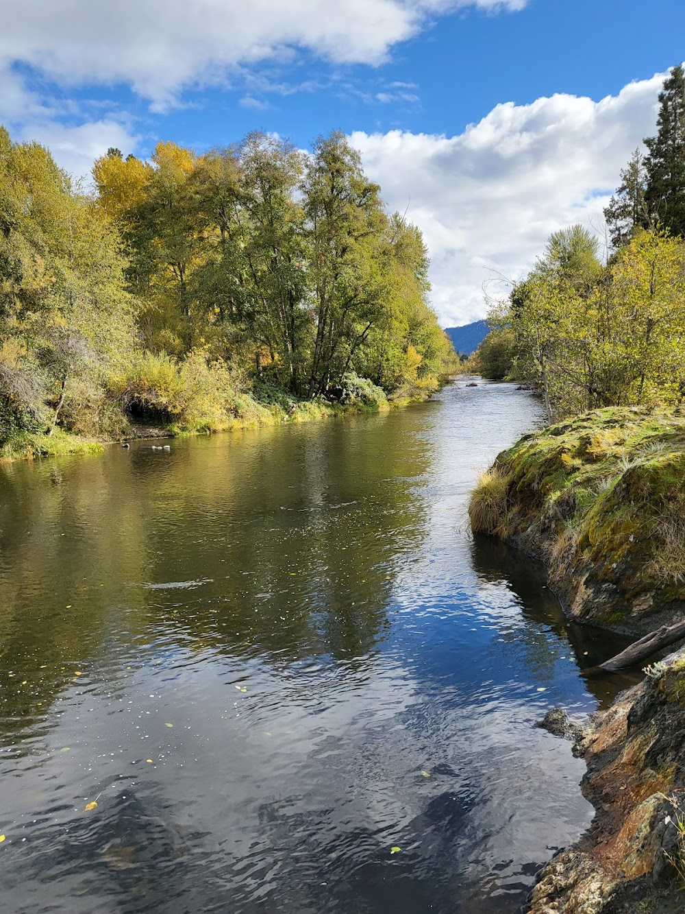 A Girl of the Limberlost : 