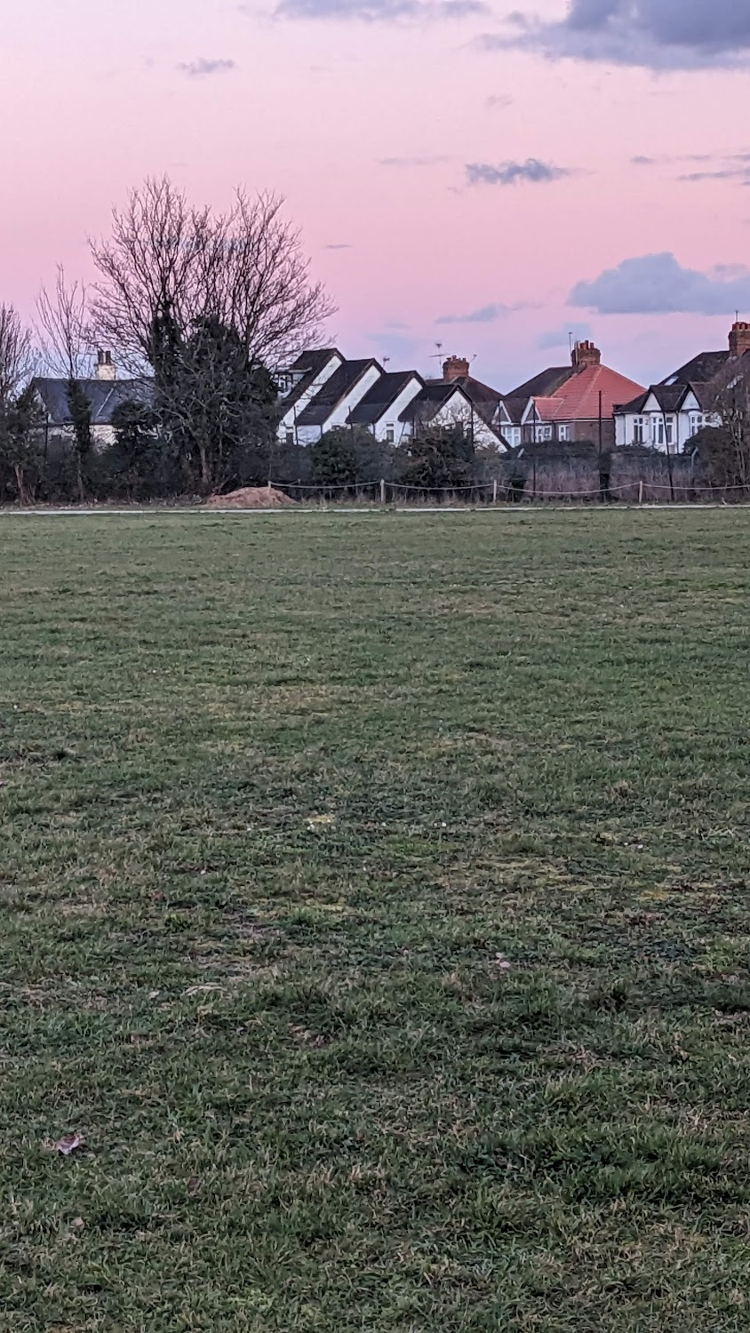 A Hard Day's Night : the group running and jumping around in field