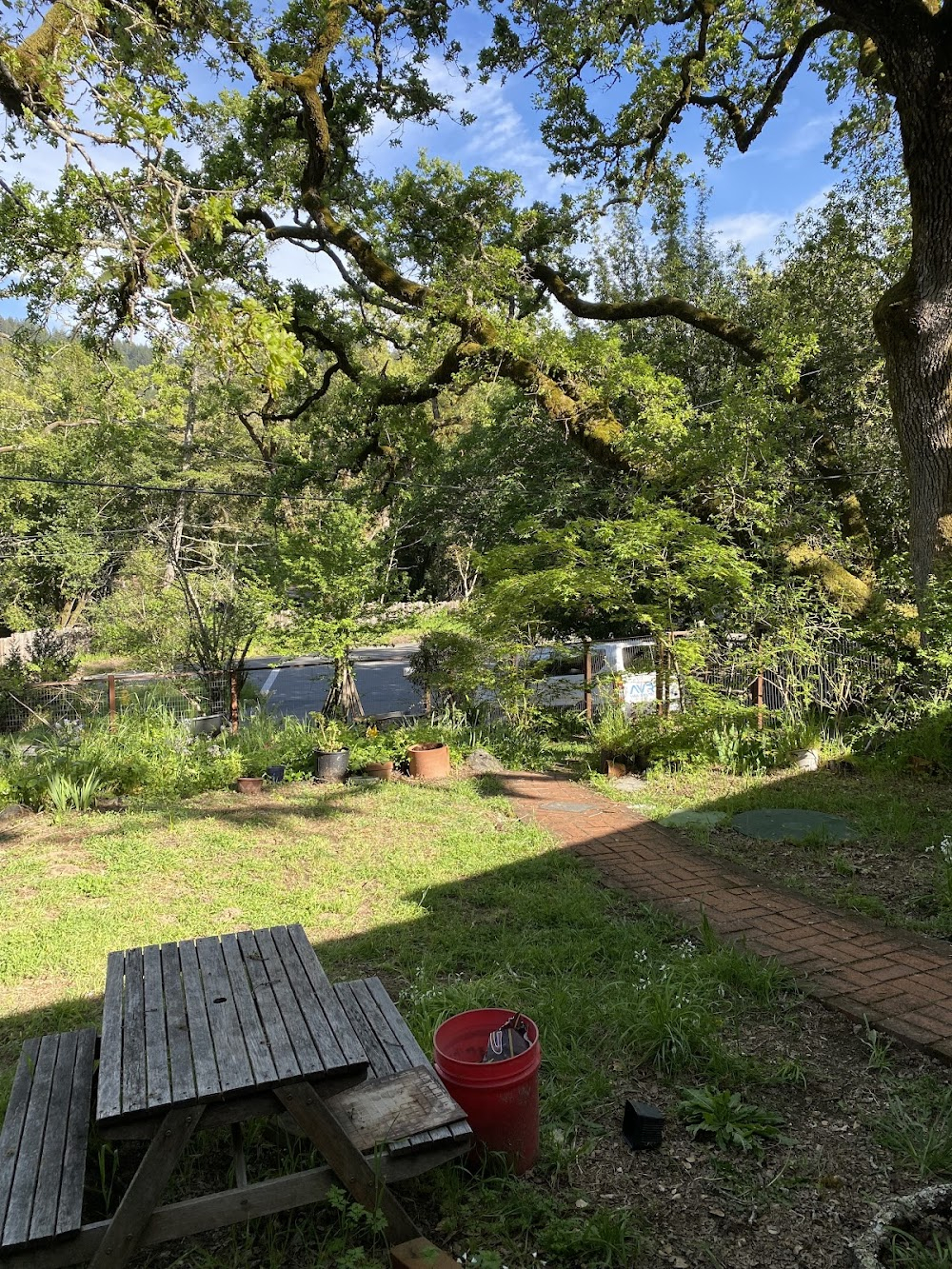 A Life's Work : Roys Redwood Preserve