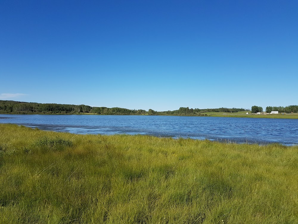 The Children of Ar : The Dunne Family Ranch