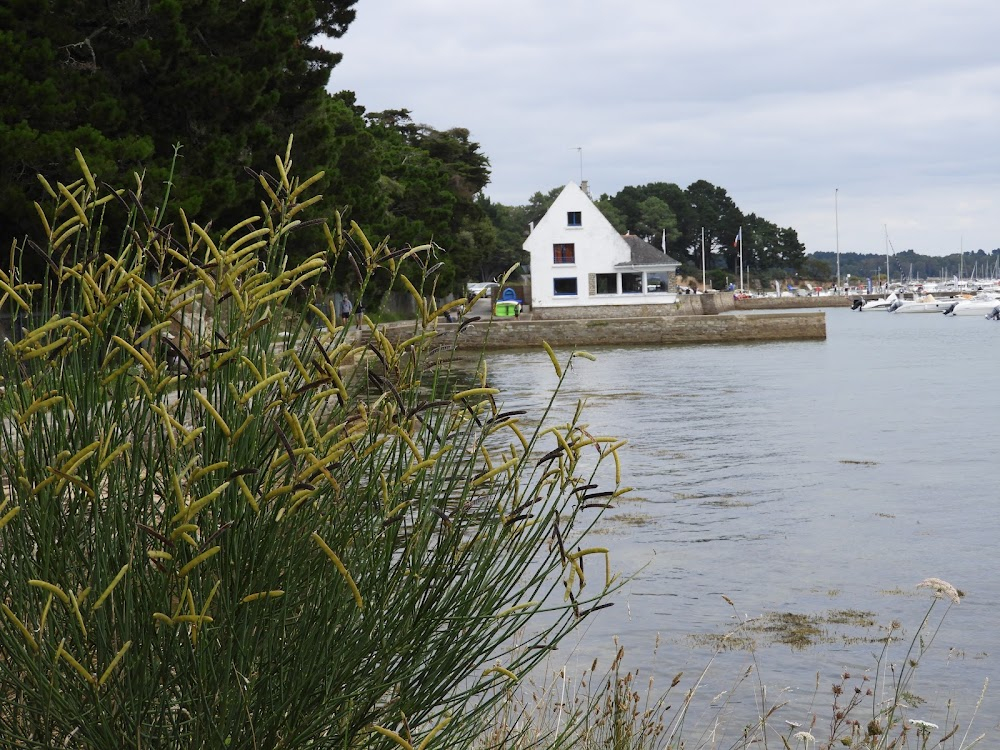 L'île aux trente cercueils : château de Kerran