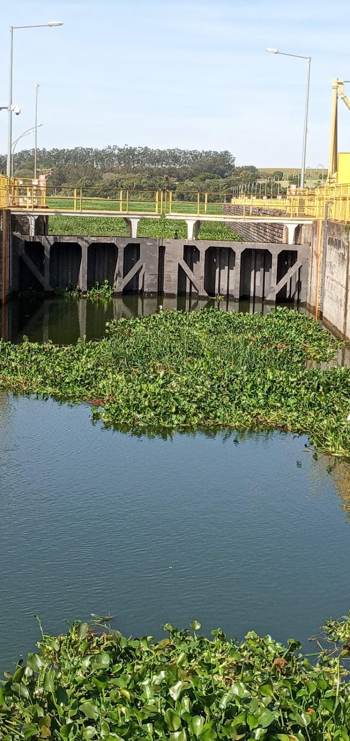 Capitalismo Selvagem : Bridge and river