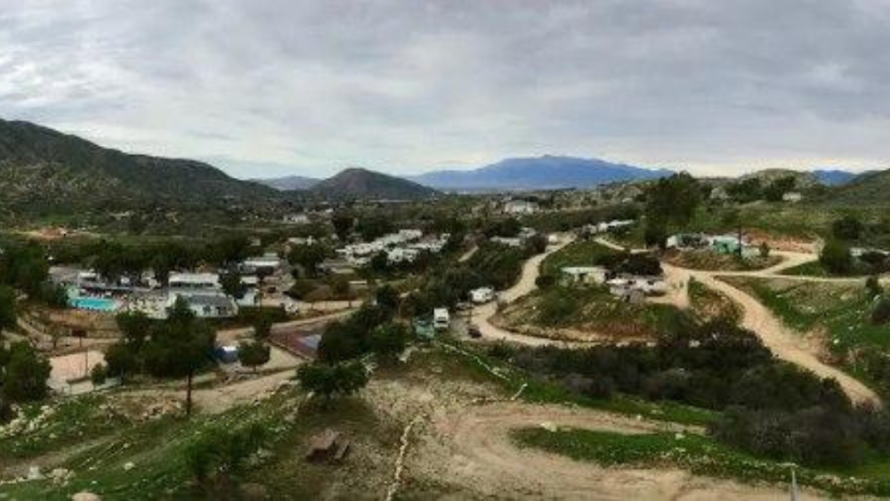 The Naked Peacock : Olive Dell Ranch location