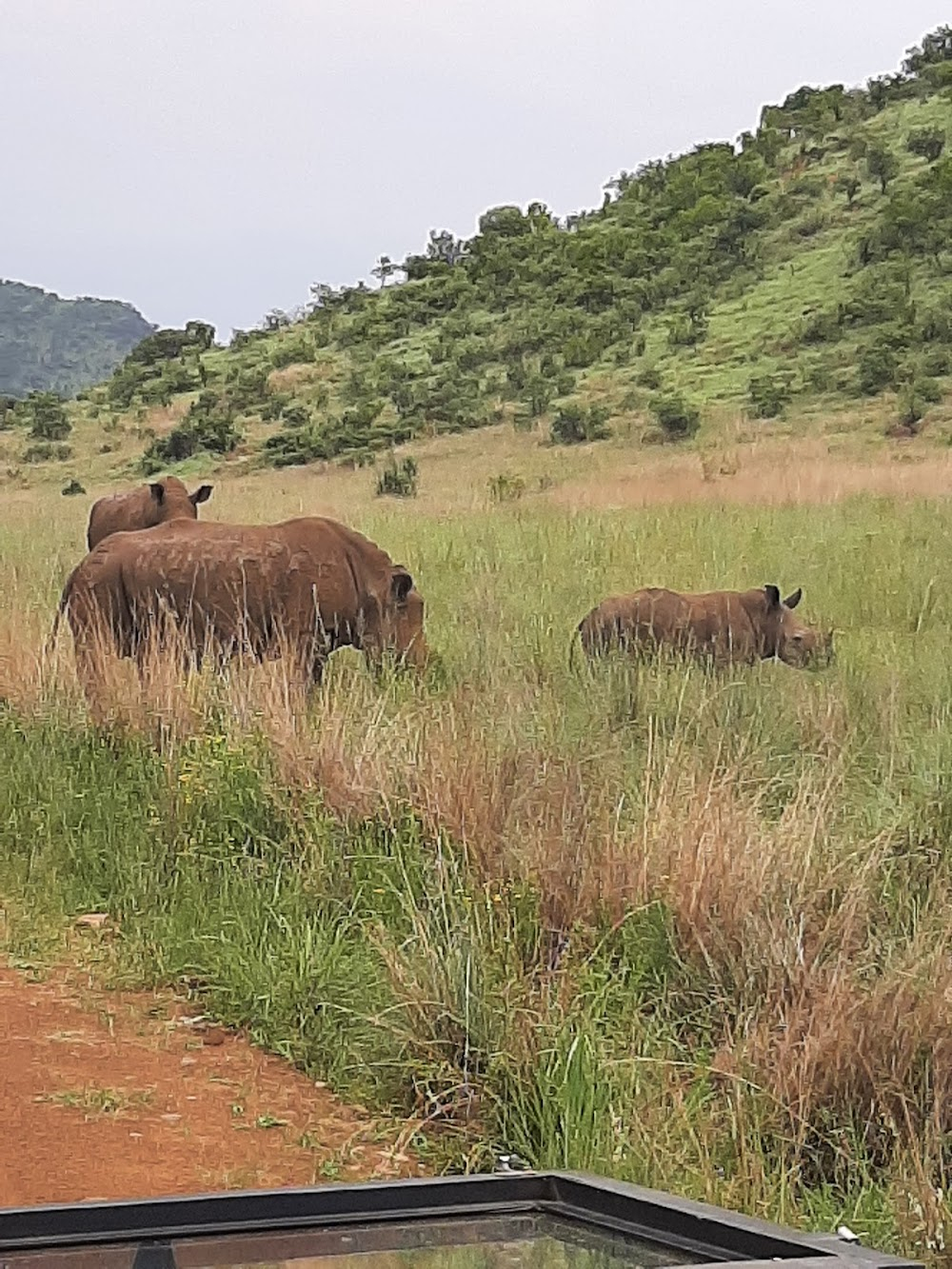 Africano : Afrikano Park