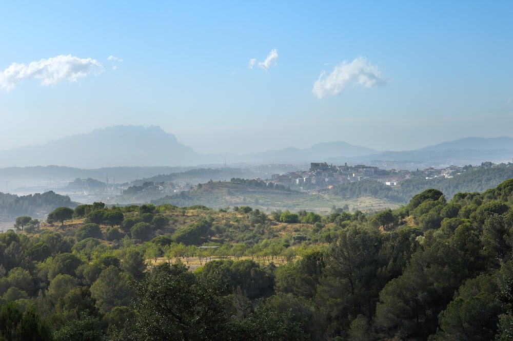 Valldaura: A Quarantine Cabin : Valldaura Labs