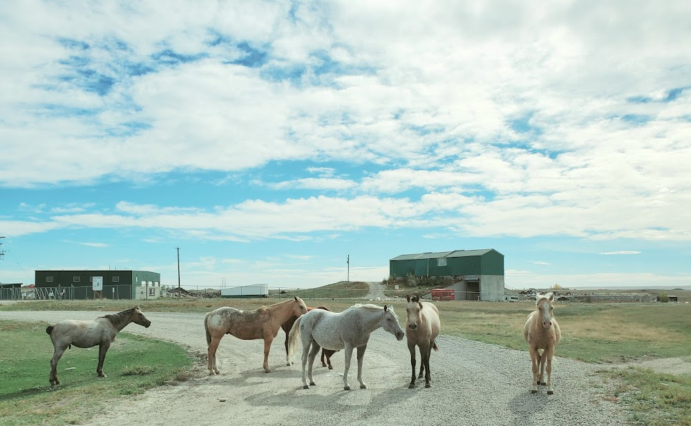 Warbonnet: An Odyssey of Honor : location