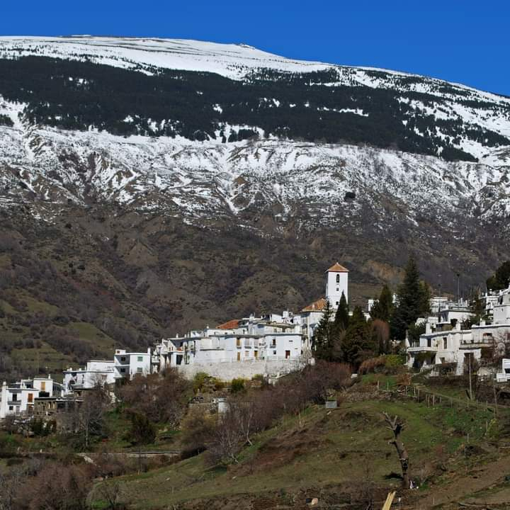 Al sur de Granada : 