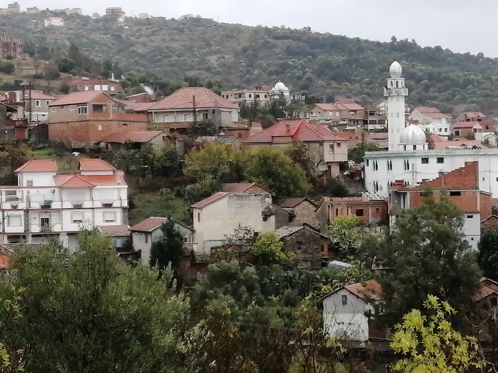 Alger et ses environs : 