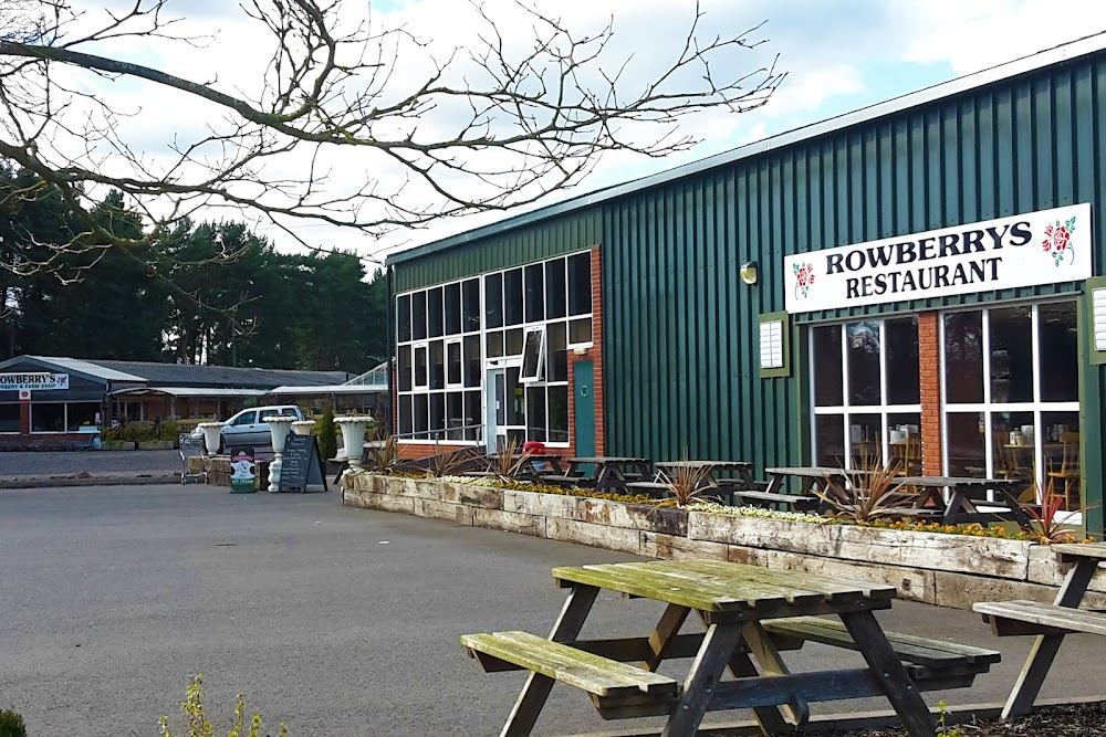 All Quiet on the Preston Front : Roker Vale Garden Centre