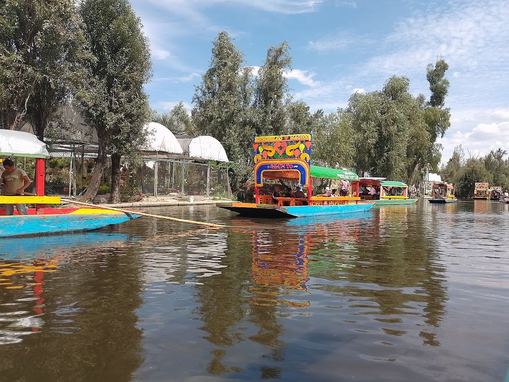 Allá en el rancho de las flores : 