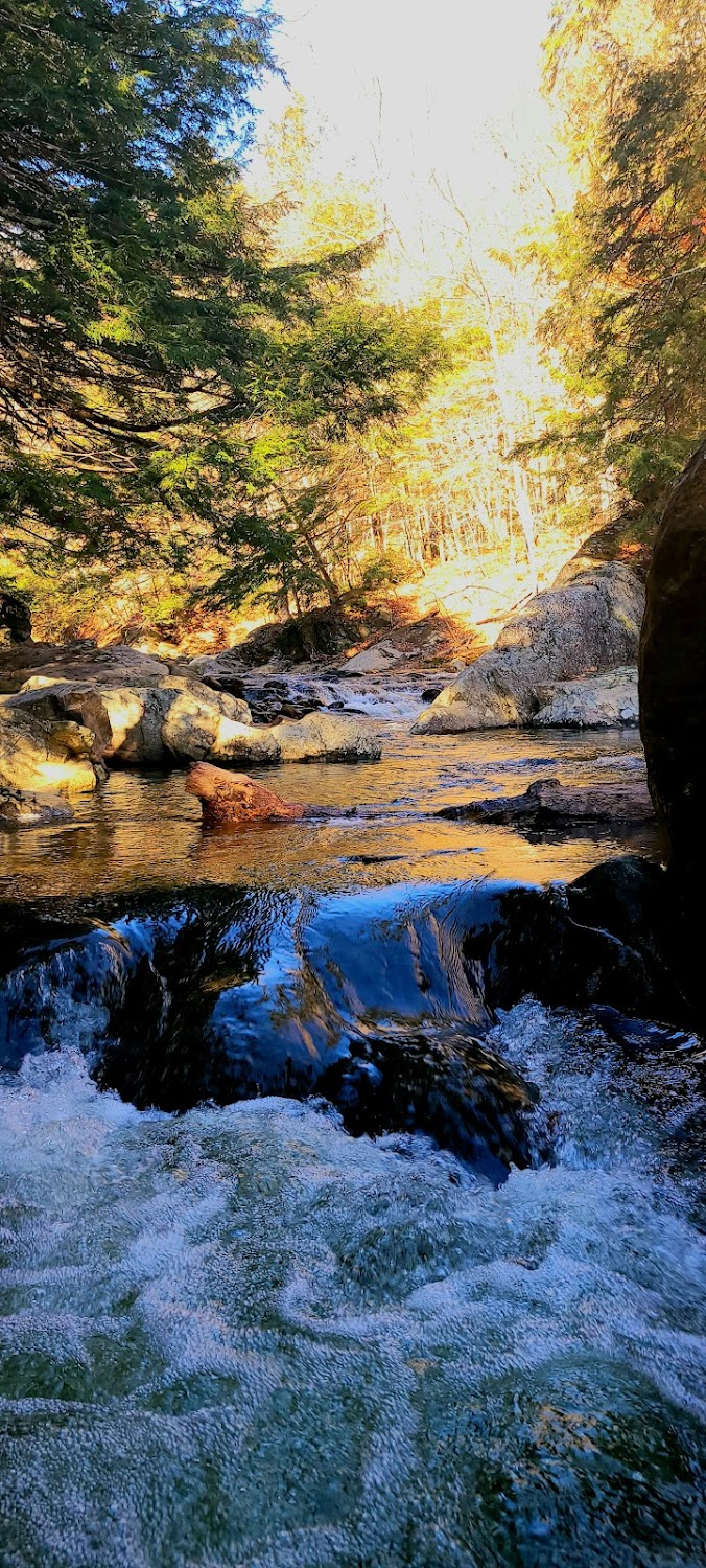 Alone Together : Londonderry, VT