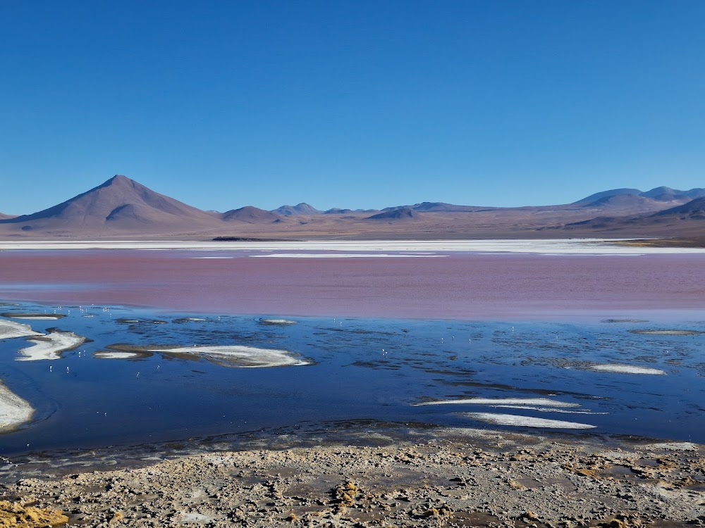 Altiplano : 