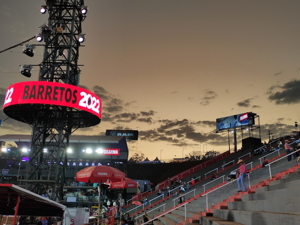 América : Rodeo festivals