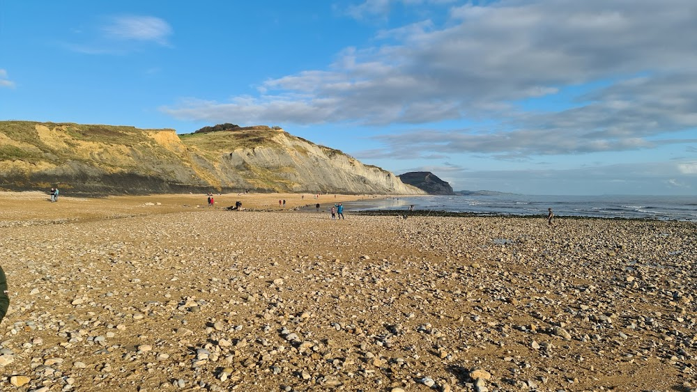 Ammonite : fossil hunting cliff