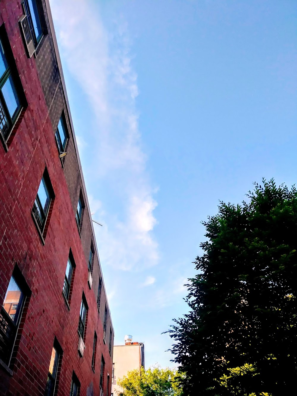 Angel Heart : 19th century housing tenements - Harlem scenes