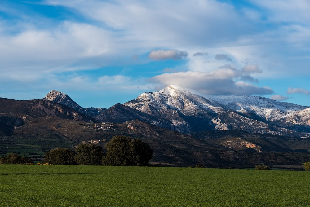 Antigona despierta : 