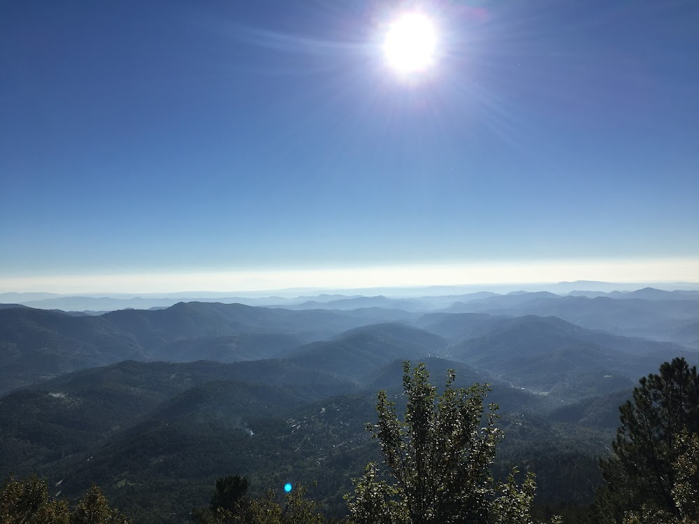 Antoinette dans les Cévennes : Antoinette in the Cévennes