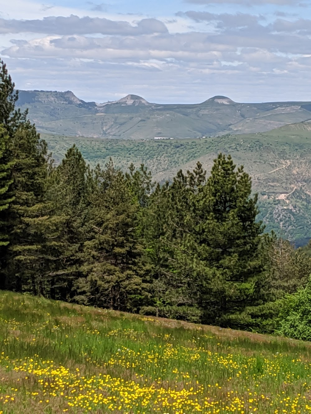 Antoinette dans les Cévennes : Antoinette in the Cévennes