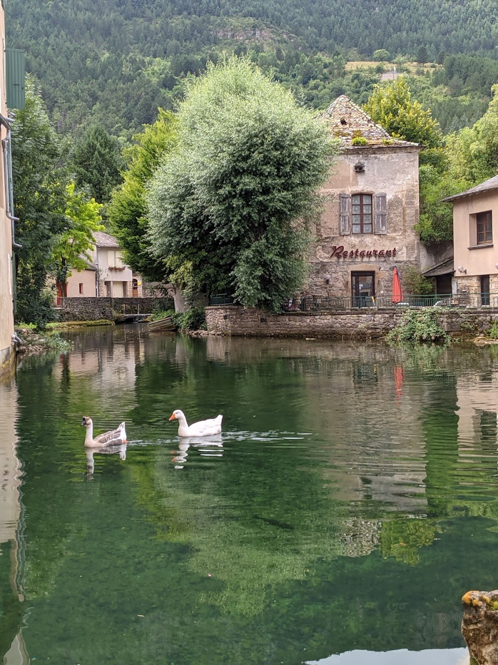 Antoinette dans les Cévennes : on location