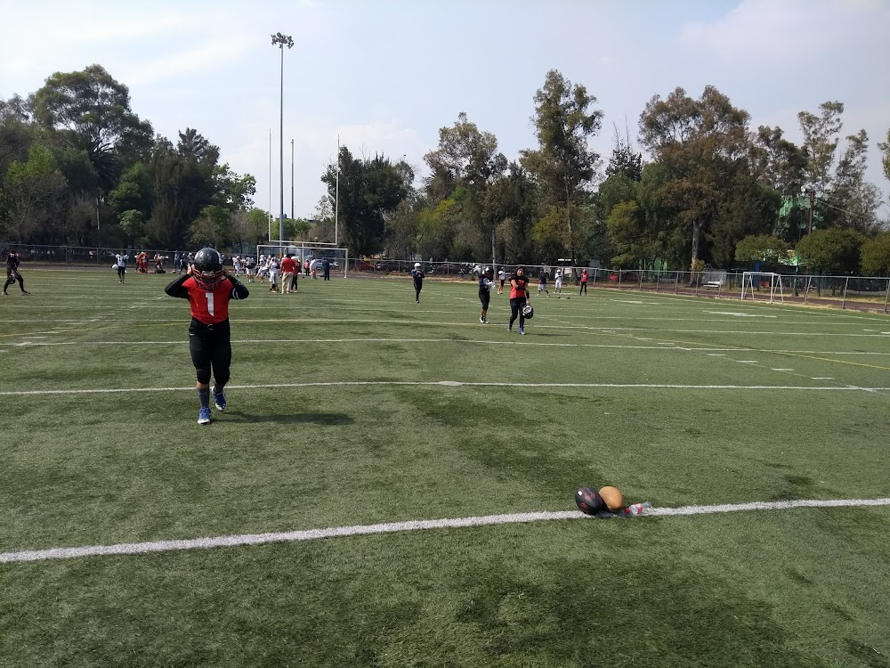 Apnea : Alberca entrenamiento