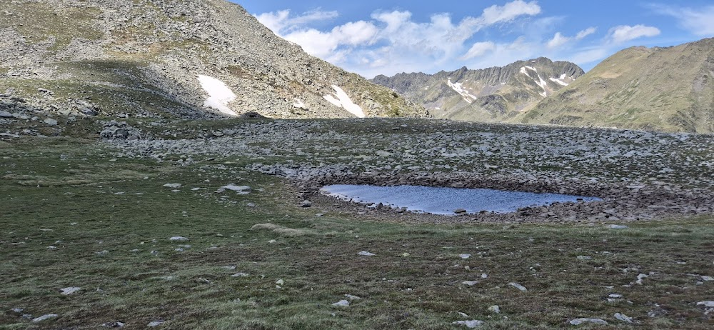 Aquella joven de blanco : 