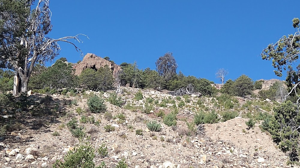 Aranzazú, un recuerdo de ruinas : 