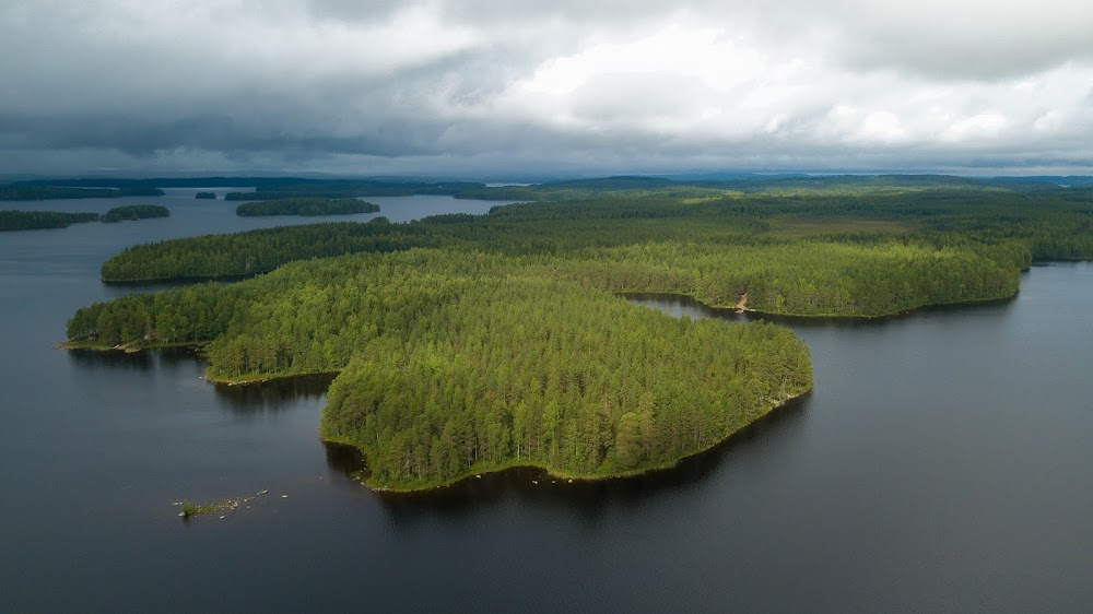 Armotonta menoa - hoivatyön lauluja : 