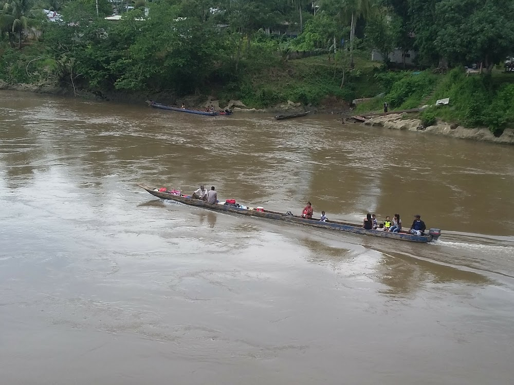 Attack of the Jungle Women : Paddling up river in a pirogue.