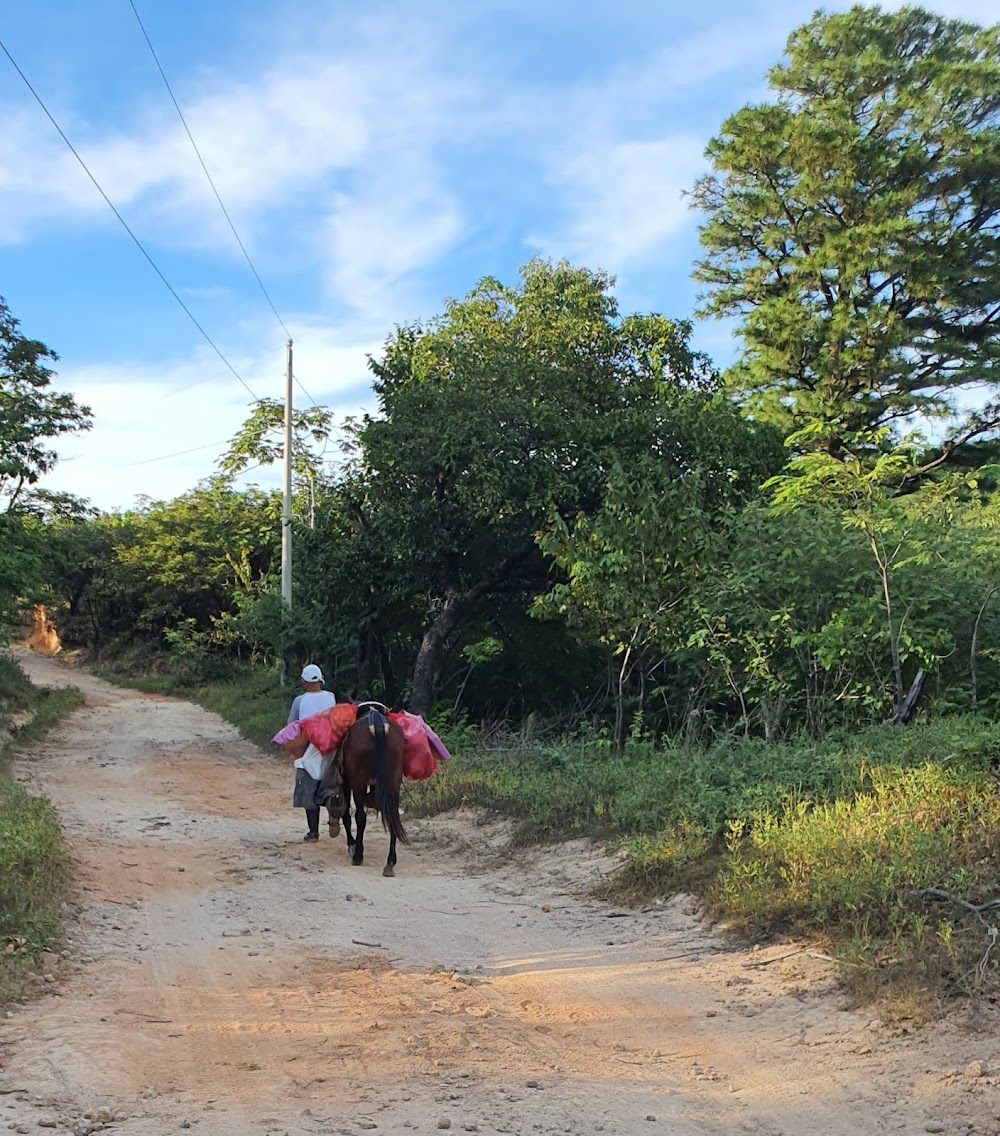 Au Nicaragua, on m'appelle... Chepito : stage on Chepito's journey