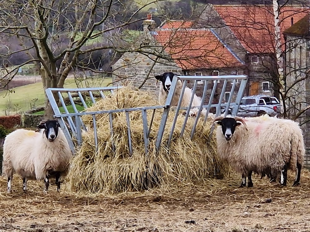 Auf Wiedersehen, Pet : on location