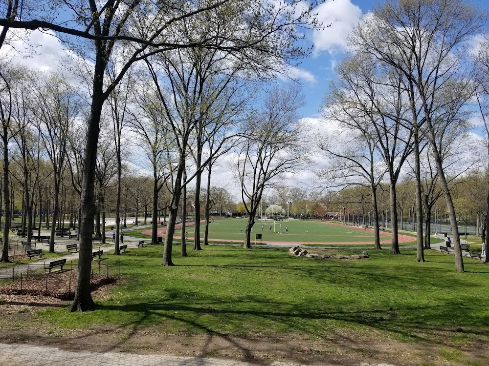 Awakenings : Robin Williams and Robert DeNiro take awal through a Bronx park.