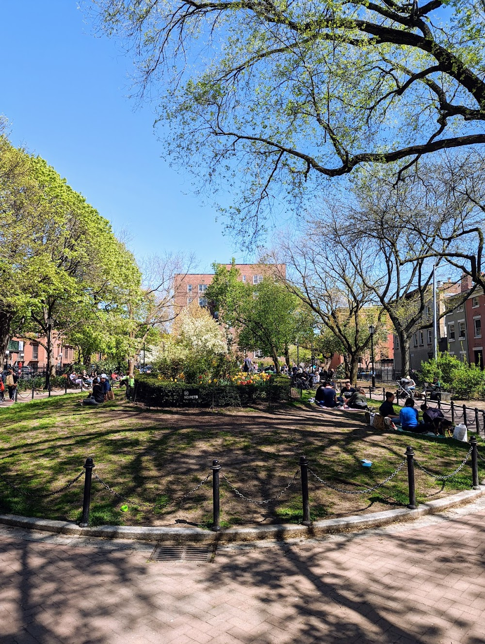 The Girl in the Park : 