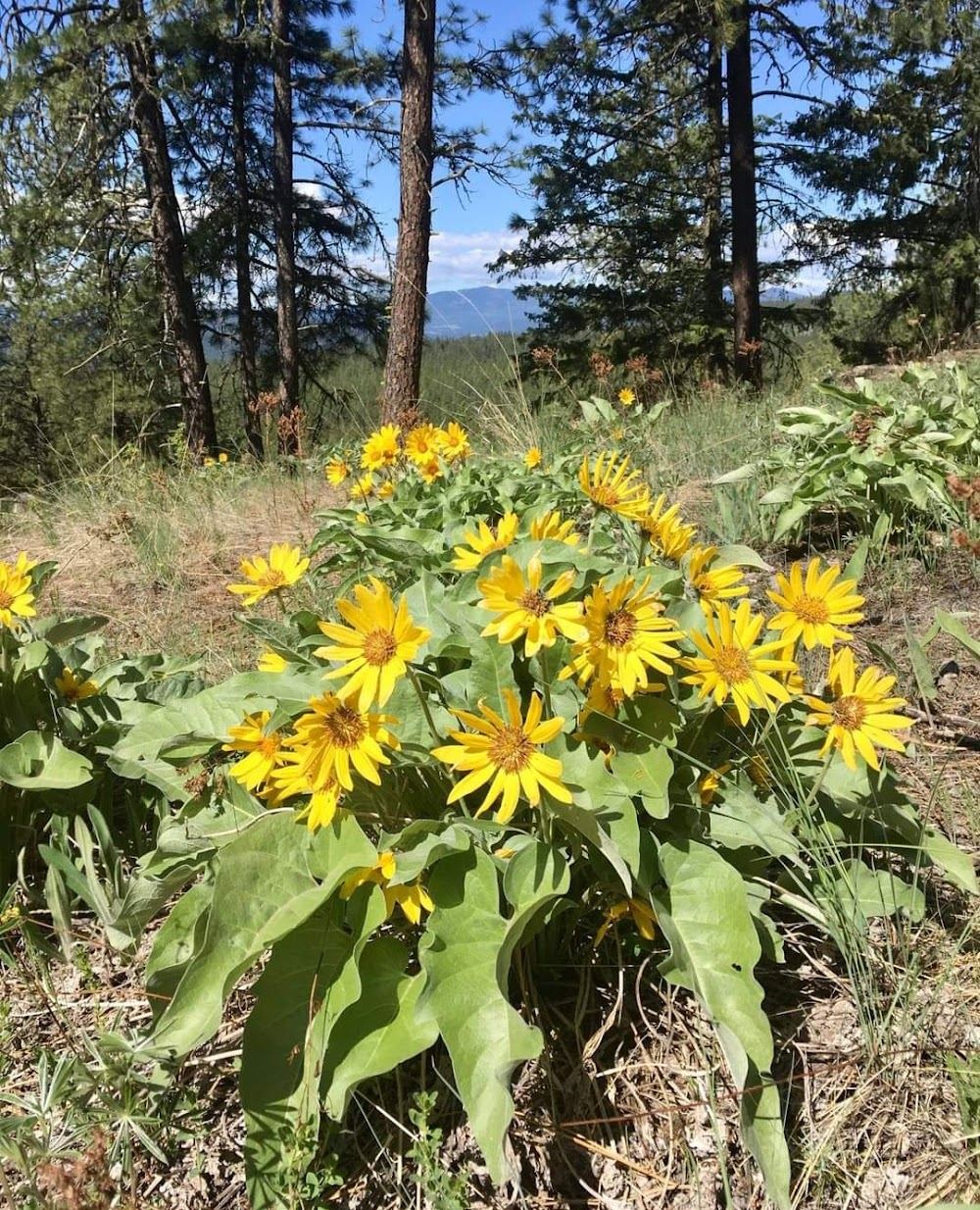 Back to Life : Fall River County Highway 7