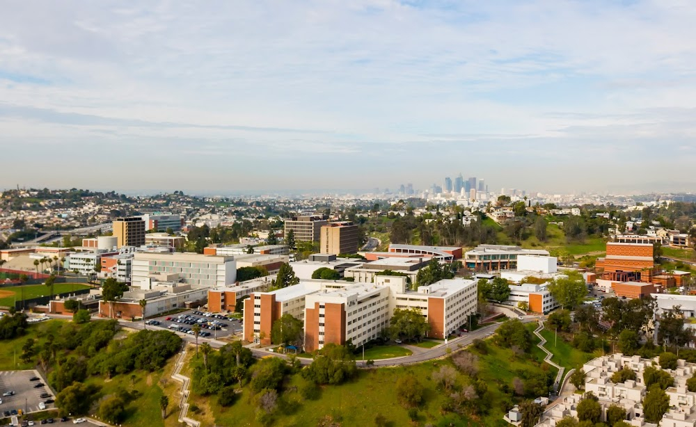 Waxwork : College Campus