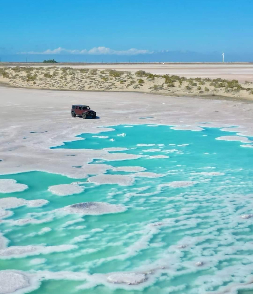 Guerrero negro : 