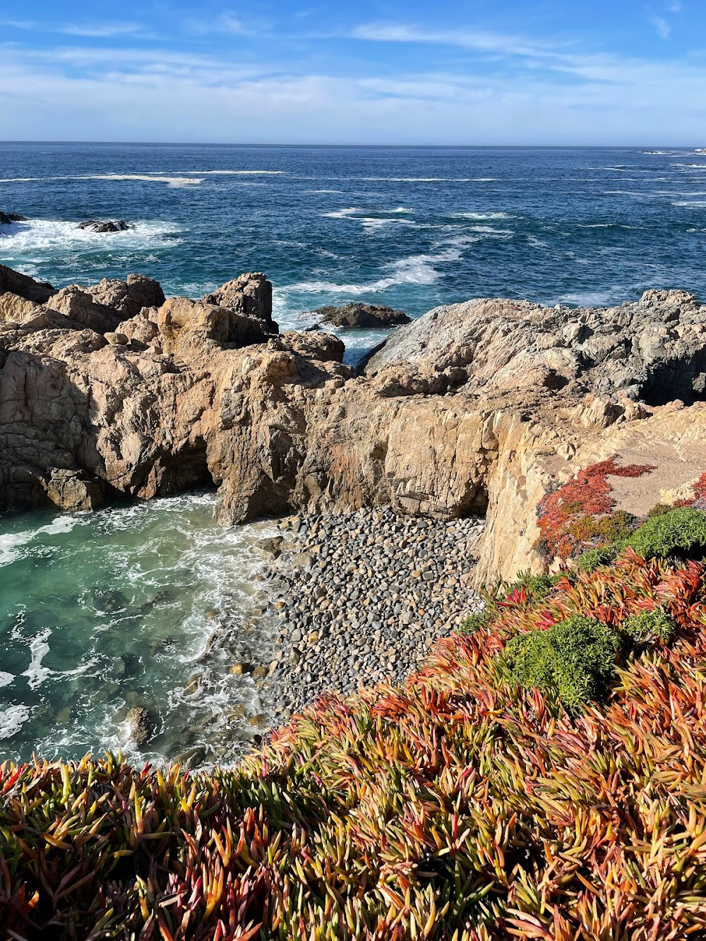 The Sandpiper : beach scenes