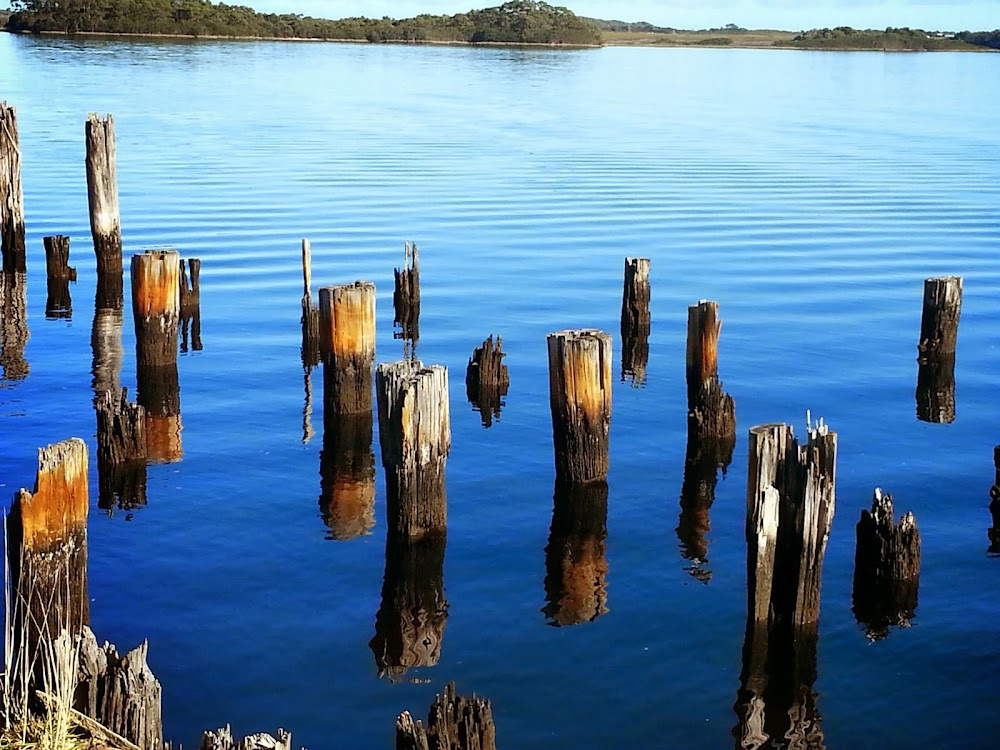 Bay of Fires : location