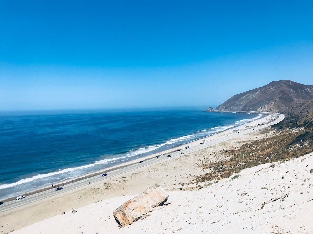 The Pom Pom Girls : students roll down large sand dune across the street from the beach