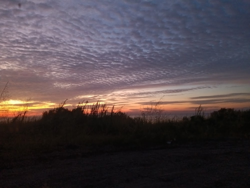 Beasts of the Southern Wild : 