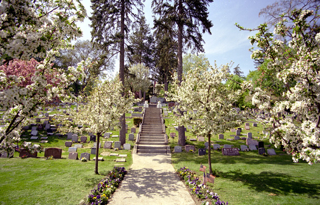 Believe It or Not (Second Series) #10 : pet cemetery at 100 N. Washington Avenue