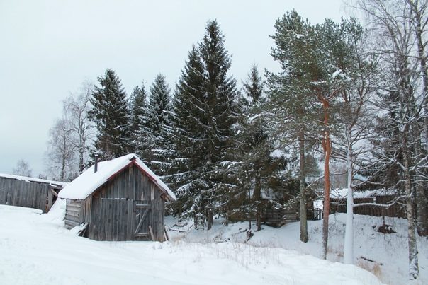 Belye nochi pochtalyona Alekseya Tryapitsyna : main village