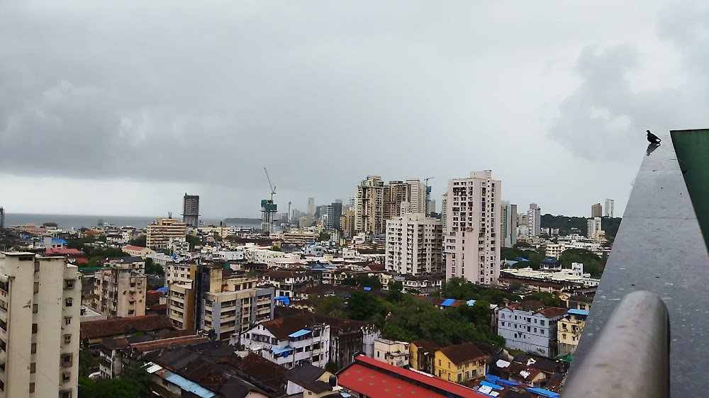 Surviving Mumbai : 