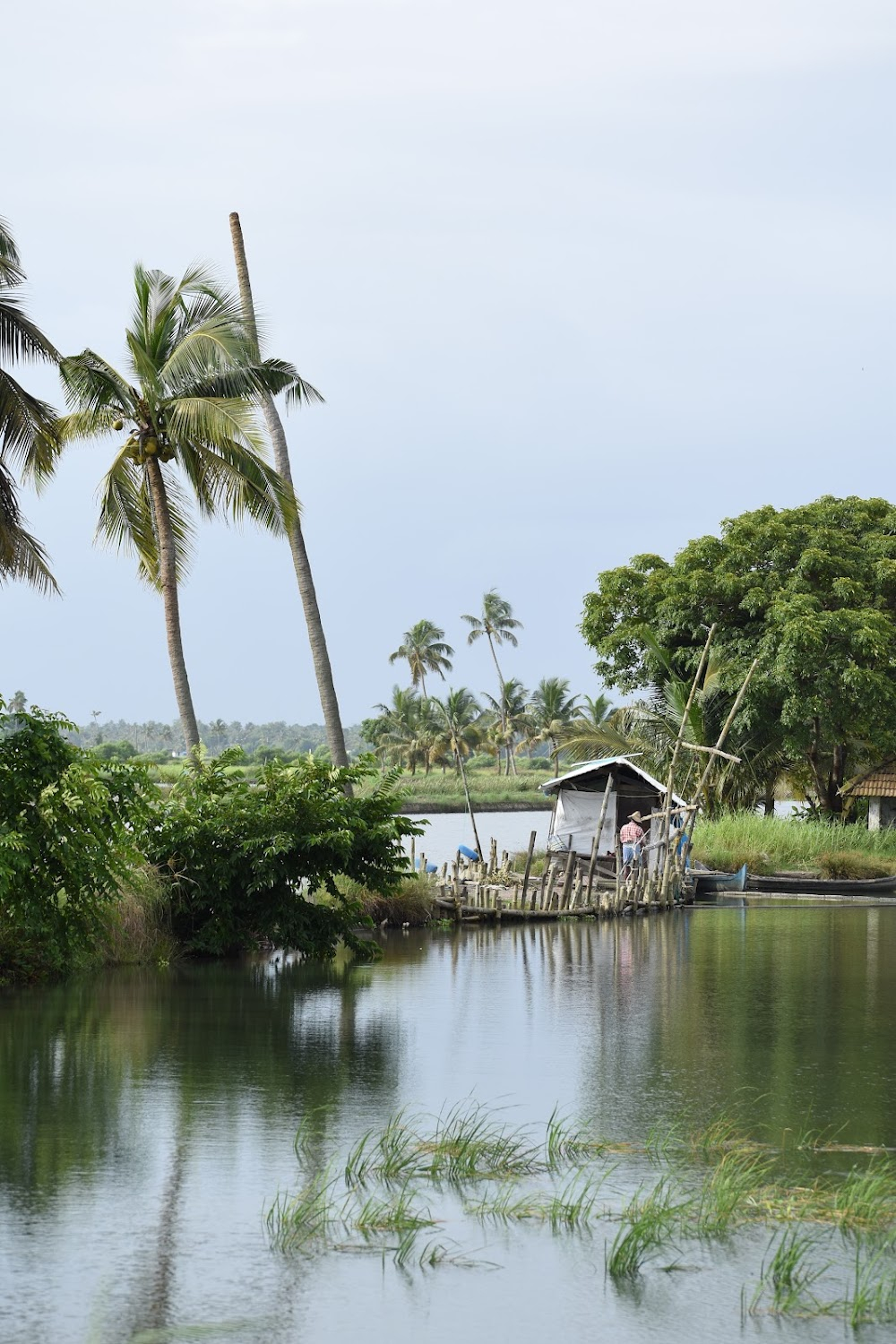 Bheeshmaparvam : Firstscene - Autoriskshaw moving between backwaters