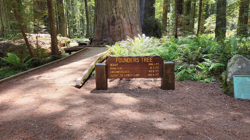 Bigfoot Famous : Redwood Forest