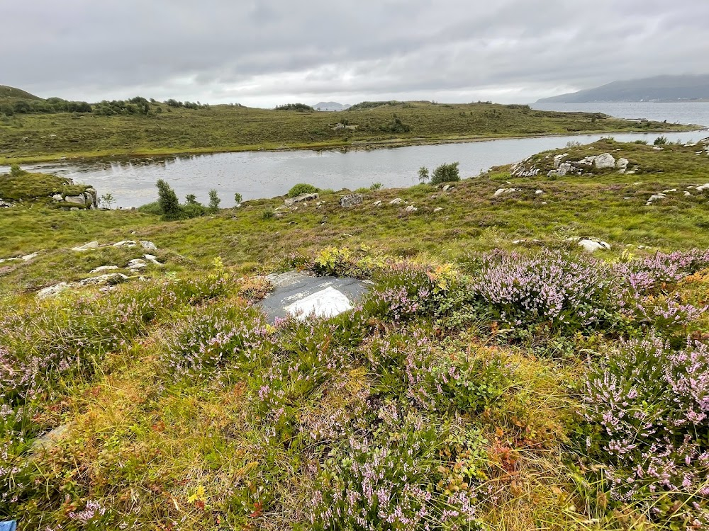 Bjørnøya : 