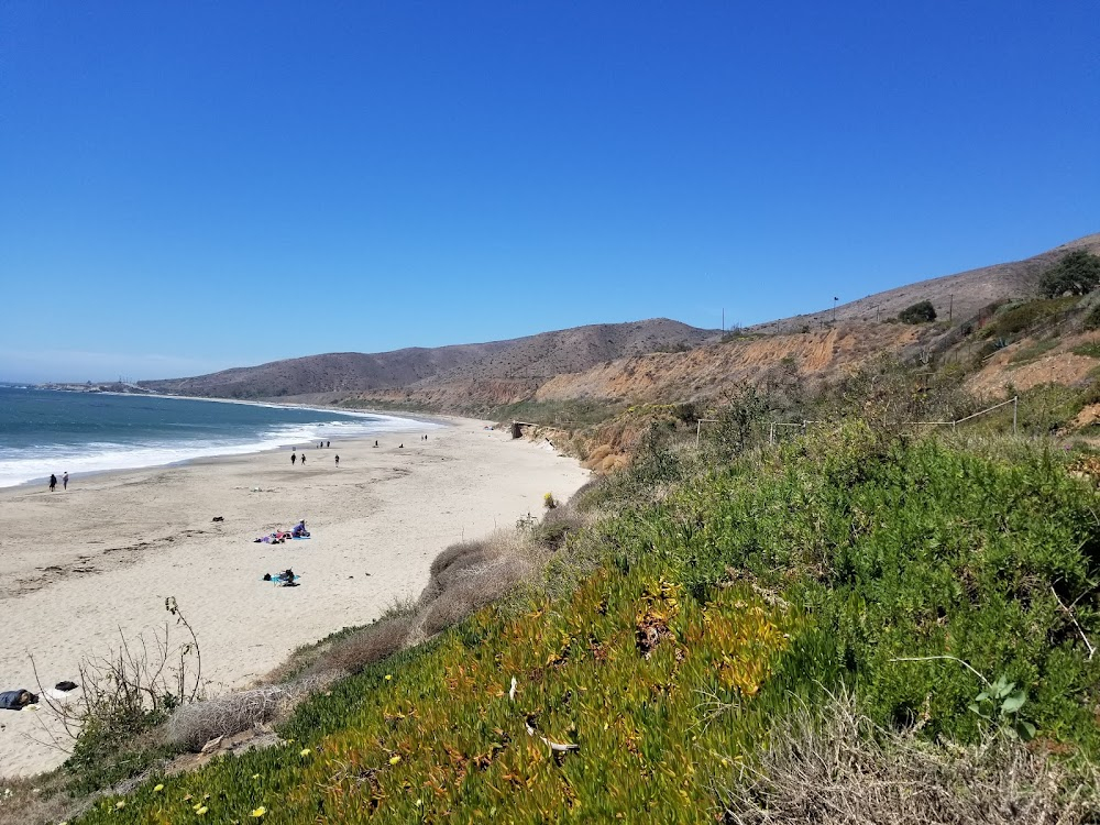 The Fortune : Freddie Bigard's beach scenes, as she washed up to shore.