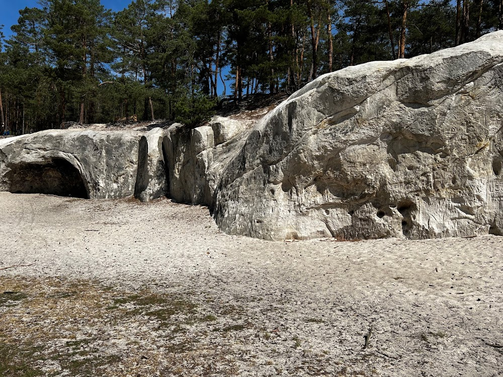 Black Death : Cave in the forest